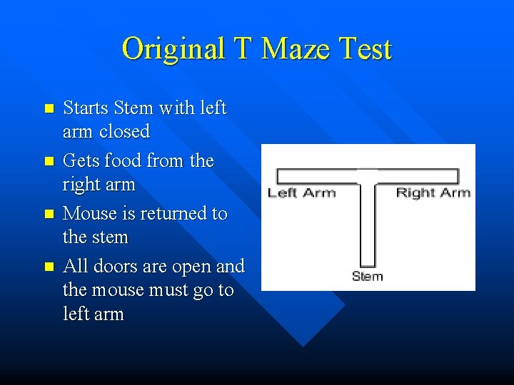 Original T Maze Test n n Starts Stem with left arm closed Gets food