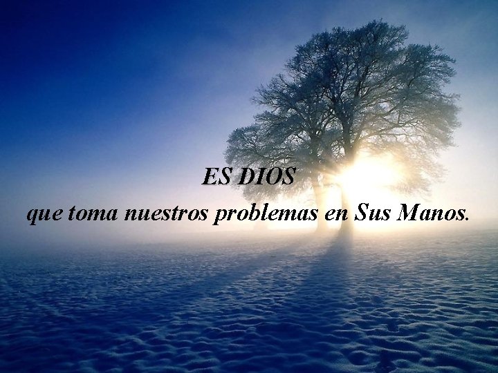 ES DIOS que toma nuestros problemas en Sus Manos. 