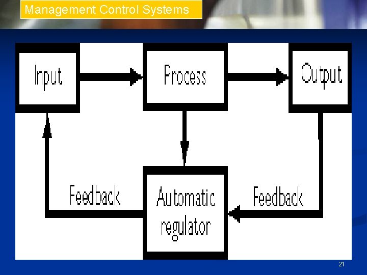 Management Control Systems 21 