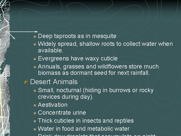 Deep taproots as in mesquite l Widely spread, shallow roots to collect water when