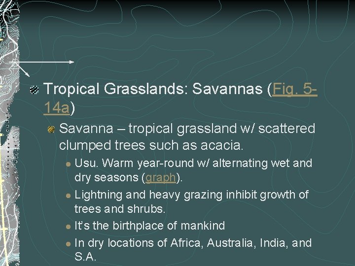 Tropical Grasslands: Savannas (Fig. 514 a) Savanna – tropical grassland w/ scattered clumped trees