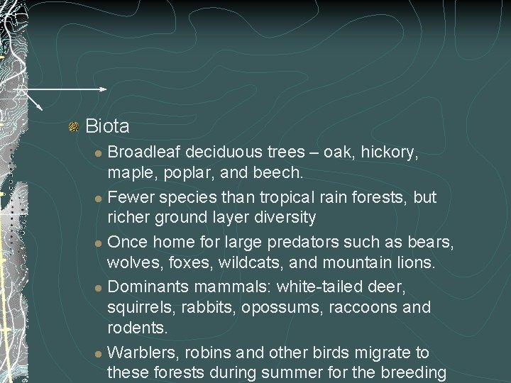 Biota Broadleaf deciduous trees – oak, hickory, maple, poplar, and beech. l Fewer species