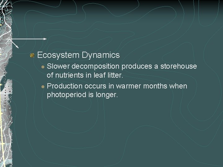 Ecosystem Dynamics Slower decomposition produces a storehouse of nutrients in leaf litter. l Production