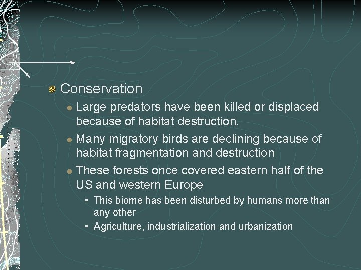 Conservation Large predators have been killed or displaced because of habitat destruction. l Many