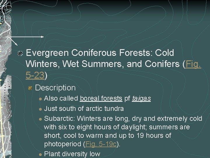Evergreen Coniferous Forests: Cold Winters, Wet Summers, and Conifers (Fig. 5 -23) Description Also
