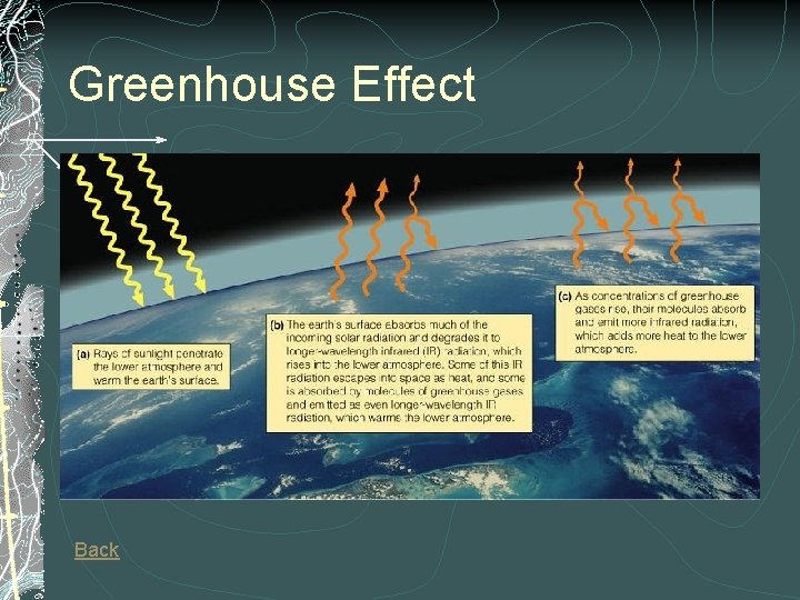 Greenhouse Effect Back 