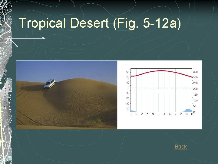 Tropical Desert (Fig. 5 -12 a) Back 