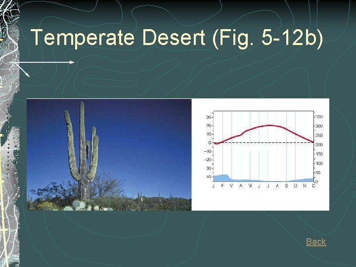Temperate Desert (Fig. 5 -12 b) Back 