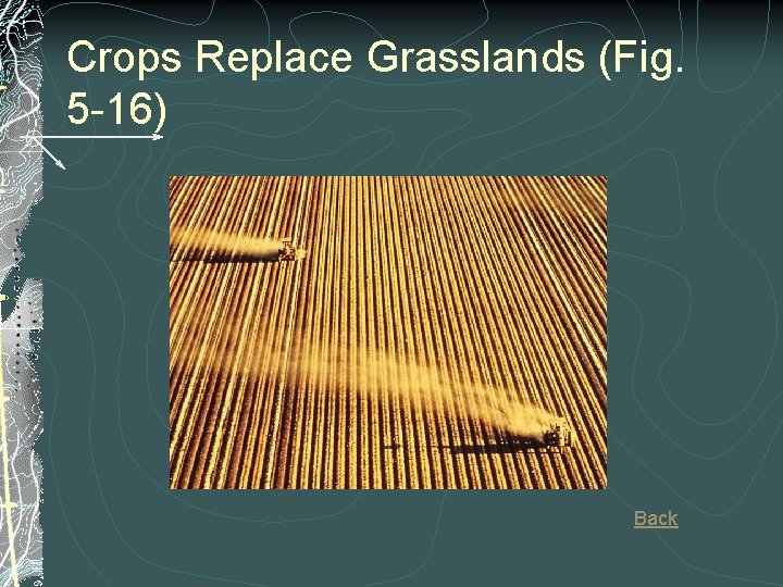 Crops Replace Grasslands (Fig. 5 -16) Back 