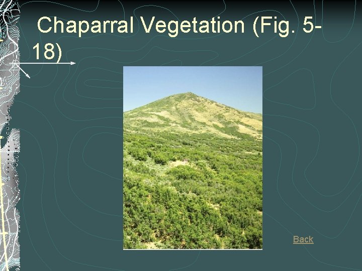 Chaparral Vegetation (Fig. 518) Back 