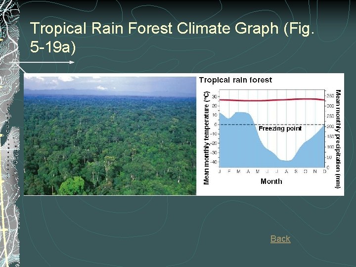 Tropical Rain Forest Climate Graph (Fig. 5 -19 a) Back 