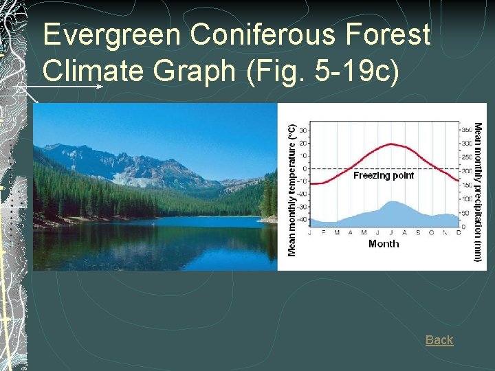 Evergreen Coniferous Forest Climate Graph (Fig. 5 -19 c) Back 