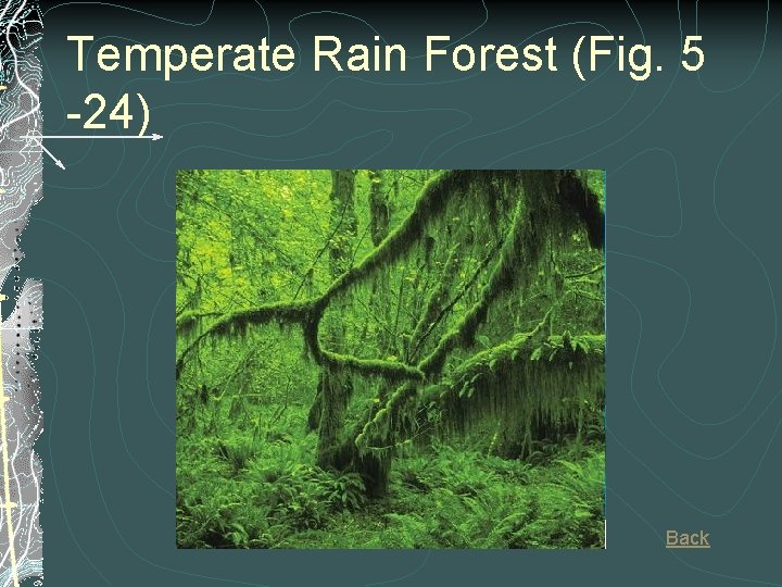 Temperate Rain Forest (Fig. 5 -24) Back 