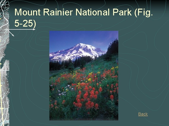 Mount Rainier National Park (Fig. 5 -25) Back 