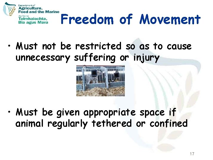 Freedom of Movement • Must not be restricted so as to cause unnecessary suffering