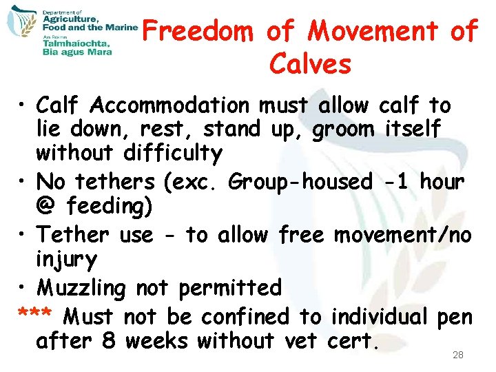 Freedom of Movement of Calves • Calf Accommodation must allow calf to lie down,