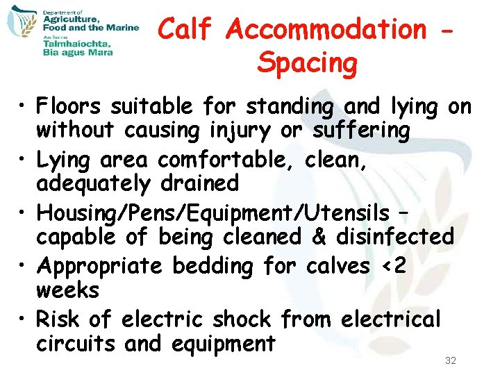 Calf Accommodation Spacing • Floors suitable for standing and lying on without causing injury