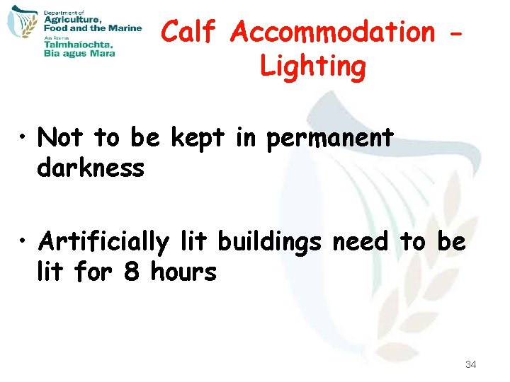 Calf Accommodation Lighting • Not to be kept in permanent darkness • Artificially lit