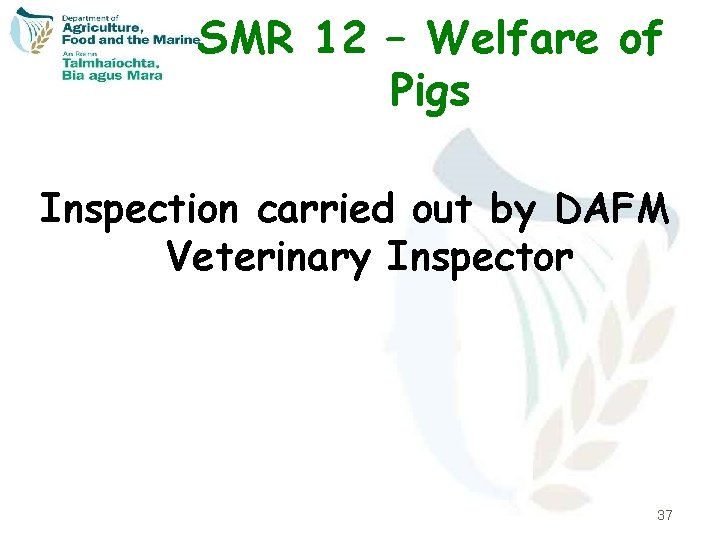 SMR 12 – Welfare of Pigs Inspection carried out by DAFM Veterinary Inspector 37