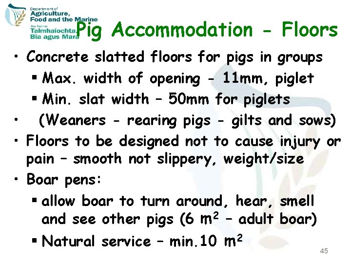 Pig Accommodation - Floors • Concrete slatted floors for pigs in groups § Max.