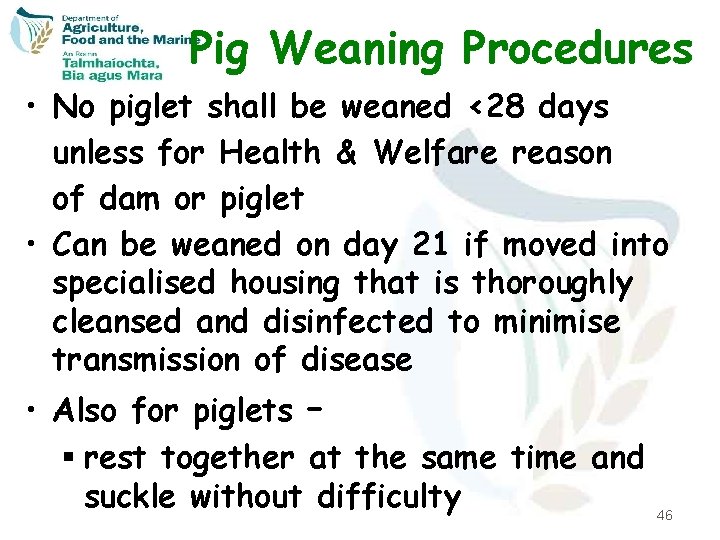 Pig Weaning Procedures • No piglet shall be weaned <28 days unless for Health