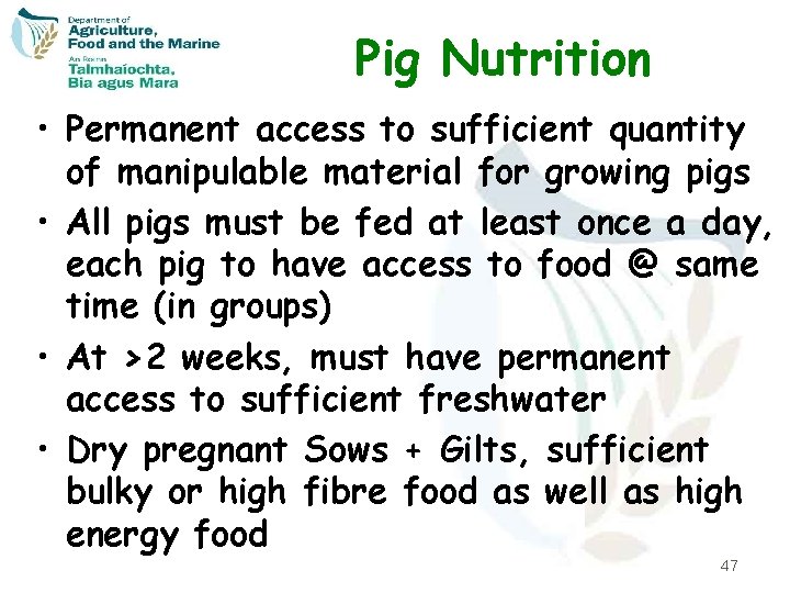 Pig Nutrition • Permanent access to sufficient quantity of manipulable material for growing pigs