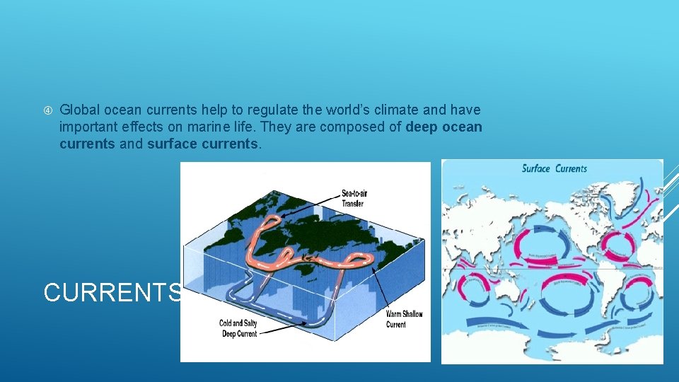 Global ocean currents help to regulate the world’s climate and have important effects