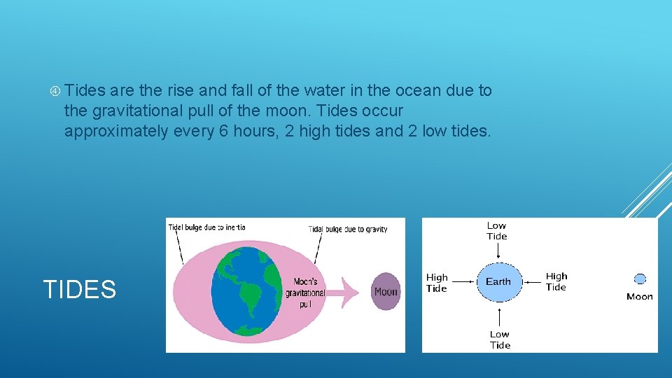  Tides are the rise and fall of the water in the ocean due