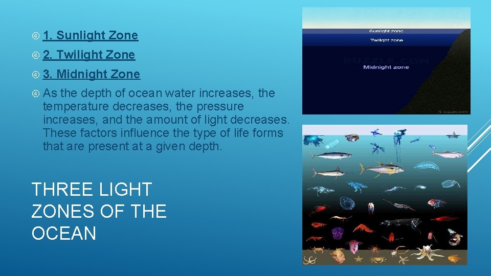  1. Sunlight Zone 2. Twilight Zone 3. Midnight Zone As the depth of