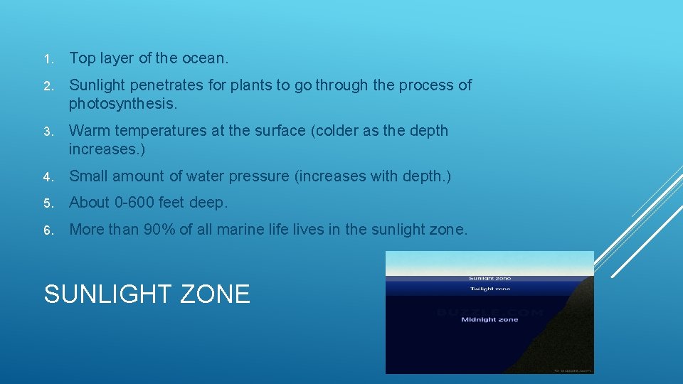 1. Top layer of the ocean. 2. Sunlight penetrates for plants to go through