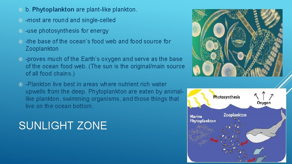  b. Phytoplankton are plant-like plankton. -most are round and single-celled -use photosynthesis for