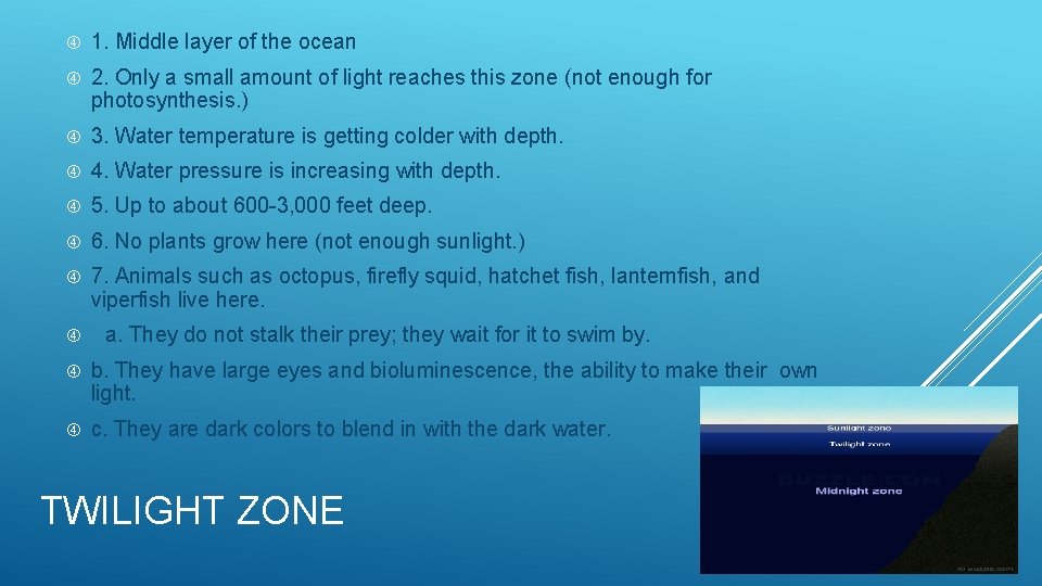  1. Middle layer of the ocean 2. Only a small amount of light