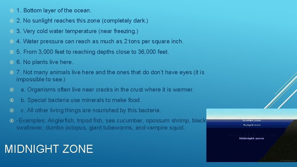  1. Bottom layer of the ocean. 2. No sunlight reaches this zone (completely
