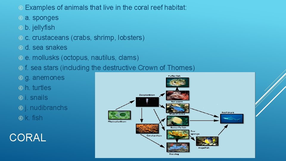  Examples of animals that live in the coral reef habitat: a. sponges b.