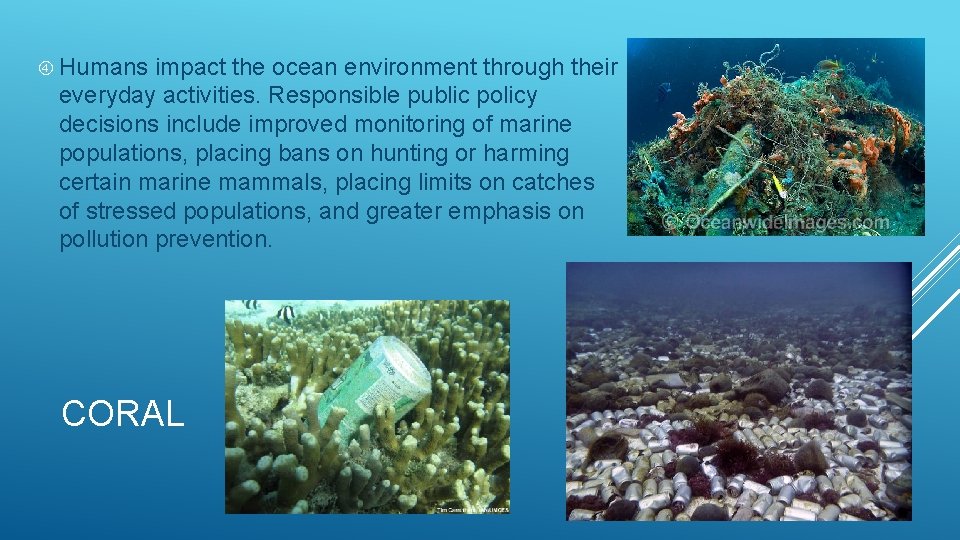  Humans impact the ocean environment through their everyday activities. Responsible public policy decisions