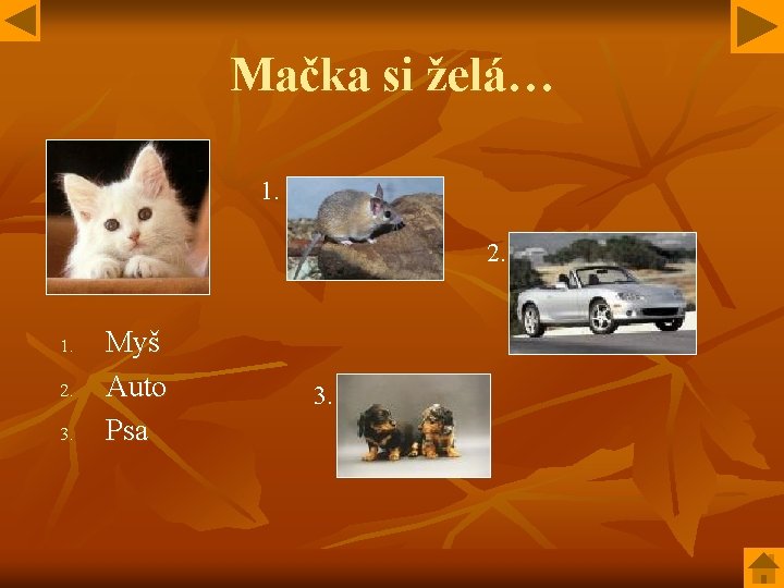 Mačka si želá… 1. 2. 3. Myš Auto Psa 3. 