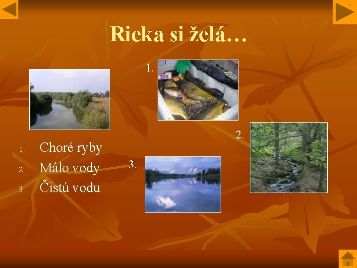 Rieka si želá… 1. 2. 3. Choré ryby Málo vody Čistú vodu 2. 3.