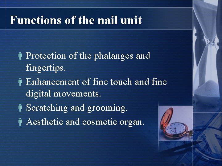 Functions of the nail unit Protection of the phalanges and fingertips. Enhancement of fine