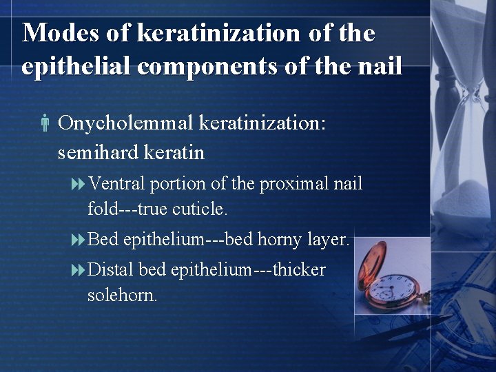 Modes of keratinization of the epithelial components of the nail Onycholemmal keratinization: semihard keratin