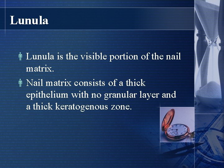 Lunula is the visible portion of the nail matrix. Nail matrix consists of a