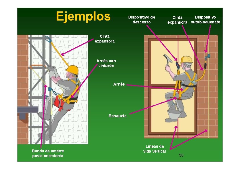 Ejemplos Dispositivo de descenso Dispositivo Cinta expansora autobloquenate Cinta expansora Arnés con cinturón Arnés