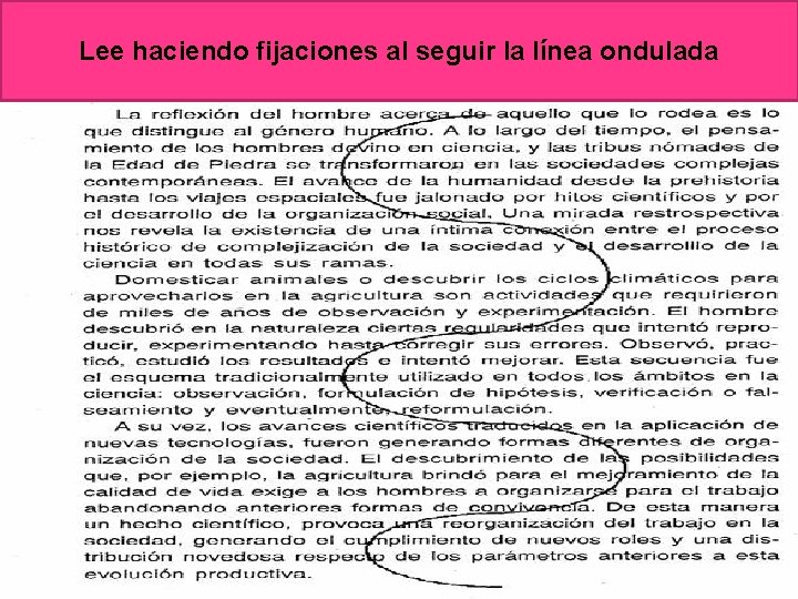 Lee haciendo fijaciones al seguir la línea ondulada 