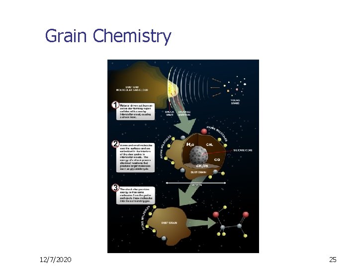 Grain Chemistry 12/7/2020 25 