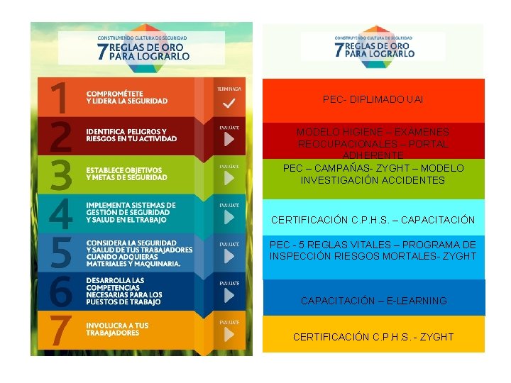 PEC- DIPLIMADO UAI MODELO HIGIENE – EXÁMENES REOCUPACIONALES – PORTAL ADHERENTE PEC – CAMPAÑAS-