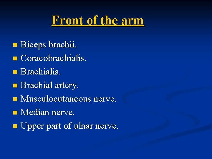 Front of the arm Biceps brachii. n Coracobrachialis. n Brachial artery. n Musculocutaneous nerve.