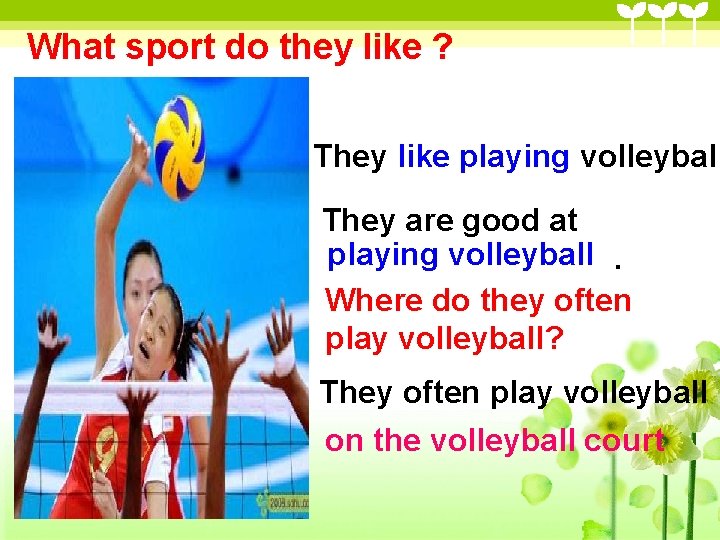What sport do they like ? They like playing volleyball They are good at What sport do they like ? They like playing volleyball They are good at