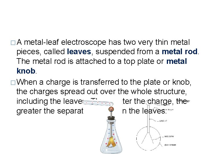 �A metal-leaf electroscope has two very thin metal pieces, called leaves, suspended from a