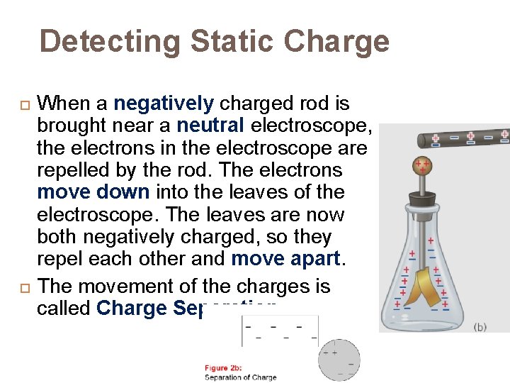 Detecting Static Charge When a negatively charged rod is brought near a neutral electroscope,