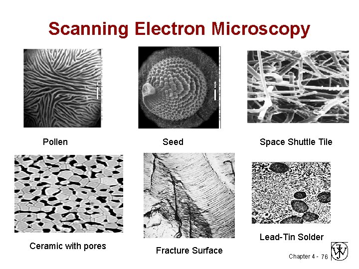 Scanning Electron Microscopy Pollen Ceramic with pores Seed Space Shuttle Tile Lead-Tin Solder Fracture