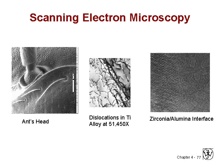 Scanning Electron Microscopy Ant’s Head Dislocations in Ti Alloy at 51, 450 X Zirconia/Alumina